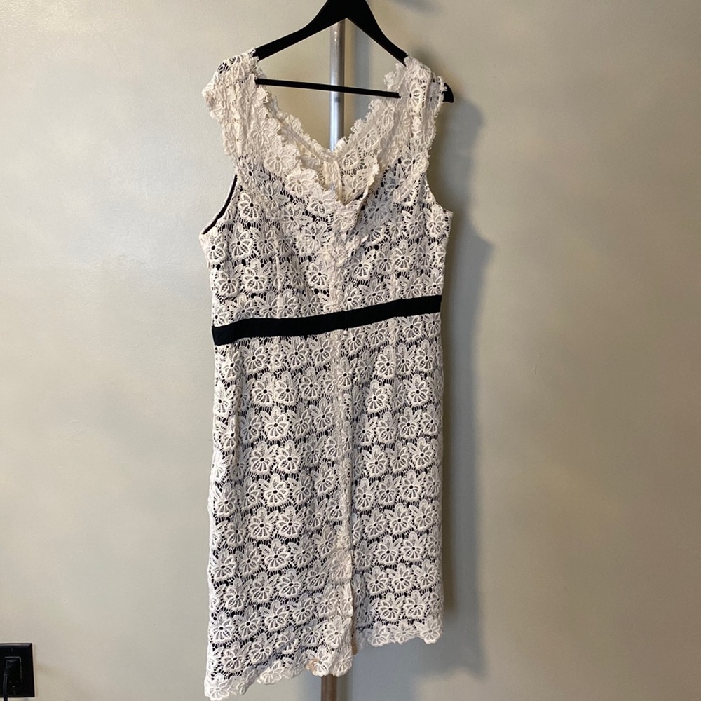 Jaeger - Stunning Lace Dress